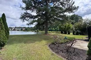 8901 Buffalo Gourd Ln, Angier, NC 27501 - Photo 9