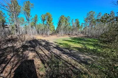 2729 McNeill Hobbs Road, Bunnlevel, NC 28323 - Photo 29