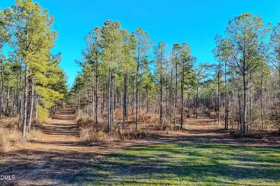 2729 McNeill Hobbs Road, Bunnlevel, NC 28323 - Photo 21
