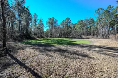 2729 McNeill Hobbs Road, Bunnlevel, NC 28323 - Photo 31