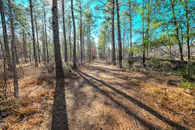 2729 McNeill Hobbs Road, Bunnlevel, NC 28323 - Photo 49