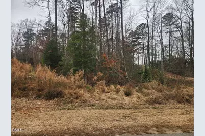 316 Shawnee Drive, Louisburg, NC 27549 - Photo 1