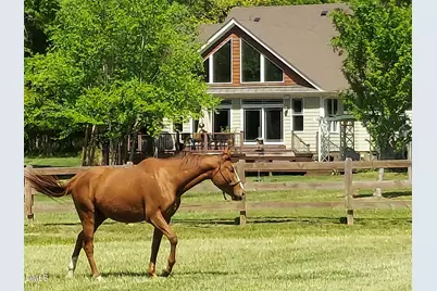 10775 Buffalo Creek Road, Bahama, NC 27503 - Photo 59