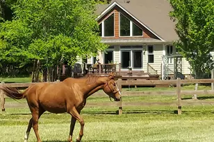 10775 Buffalo Creek Rd, Bahama, NC 27503 - Photo 59