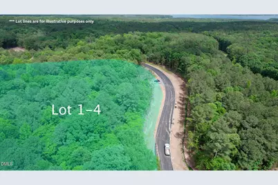 93 Firefly Overlook, Pittsboro, NC 27312 - Photo 3