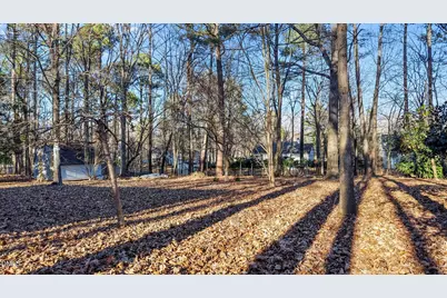 164 Bridges Lane, Youngsville, NC 27596 - Photo 31