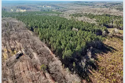 0 Dewitt Smith Road, Pittsboro, NC 27312 - Photo 3