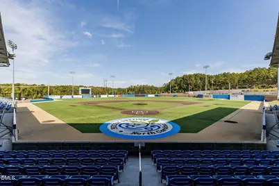 313 Crossway Lane, Holly Springs, NC 27540 - Photo 39