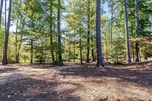 1149 The Preserve Trail, Chapel Hill, NC 27517 - Photo 69