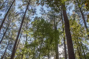 1149 The Preserve Trail, Chapel Hill, NC 27517 - Photo 79