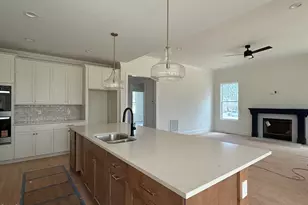 5545 Silk Hope Gum Springs Rd, Siler City, NC 27344 - Photo 3