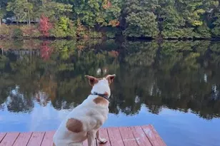 901 Bridge Way, Raleigh, NC 27615 - Photo 27