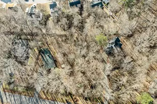 1709 Evergreen Ave, Raleigh, NC 27603 - Photo 11