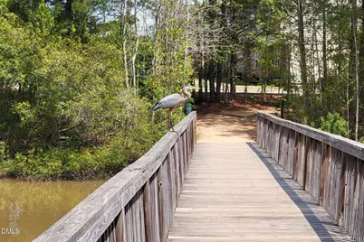 2844 Bogle Branch Court, Raleigh, NC 27606 - Photo 49