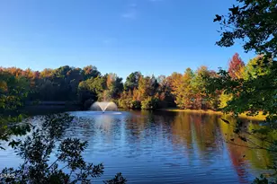 2844 Bogle Branch Ct, Raleigh, NC 27606 - Photo 51