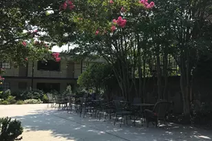 807 W Trinity Ave, Durham, NC 27701 - Photo 19