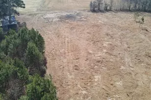 31 Woods Hill Ln Dr, Benson, NC 27504 - Photo 1