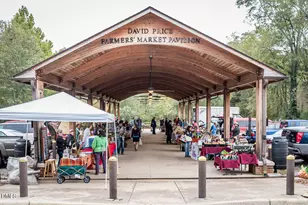 2100 Black Walnut Farm Rd, Hillsborough, NC 27278 - Photo 65