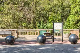 2100 Black Walnut Farm Rd, Hillsborough, NC 27278 - Photo 69