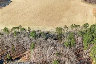 518 Orange Factory Rd, Bahama, NC 27503 - Photo 45