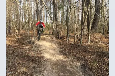 2112 Big Falls Drive, Wendell, NC 27591 - Photo 39