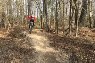 2112 Big Falls Dr, Wendell, NC 27591 - Photo 39