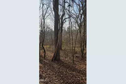 0 Gela Rd At Cornwall Road, Oxford, NC 27565 - Photo 3