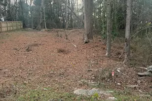 0 E Hinton St, Clayton, NC 27520 - Photo 1