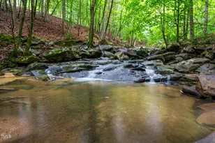 708 October Woods Rd, Chapel Hill, NC 27516 - Photo 81