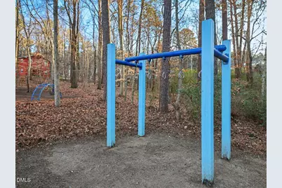 105 Rossburn Way, Chapel Hill, NC 27516 - Photo 65