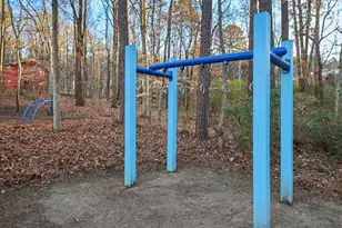 105 Rossburn Way, Chapel Hill, NC 27516 - Photo 65