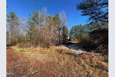 Lot 16 Dove Road, Oxford, NC 27565 - Photo 1