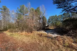 Lot 16 Dove Rd, Oxford, NC 27565 - Photo 1