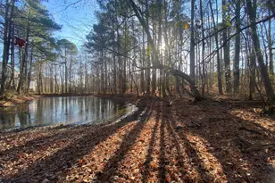 5301 Shadow Valley Rd, Holly Springs, NC 27540 - Photo 1