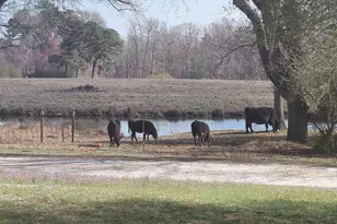 80 Vanderlin Ct, Fuquay Varina, NC 27526 - Photo 41