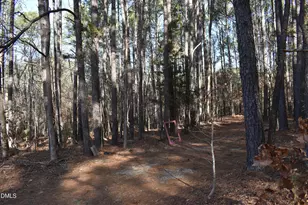 800 Bluestone Rd, Durham, NC 27713 - Photo 1