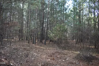 804 Carpenter Fletcher Road, Durham, NC 27713 - Photo 1