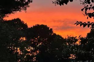 1009 Binkley Chapel Ct, Wake Forest, NC 27587 - Photo 3