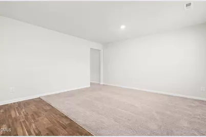 725 Fauna Street, Zebulon, NC 27597 - Photo 5