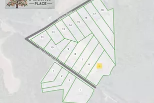 2251 Peachtree Hills Rd, Spring Hope, NC 27882 - Photo 7