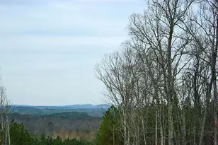 64 Barn Owl Ln, Pittsboro, NC 27312 - Photo 23