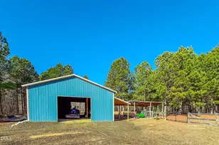 125 Ninovan Pl, Rougemont, NC 27572 - Photo 53