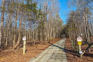 125 Ninovan Pl, Rougemont, NC 27572 - Photo 57