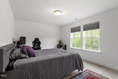 170 Creekhaven Drive, Angier, NC 27501 - Photo 29
