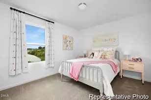 92 Open Meadow Ct, Lillington, NC 27546 - Photo 21