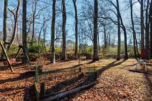 909 Bryn Mawr Ct, Apex, NC 27502 - Photo 27
