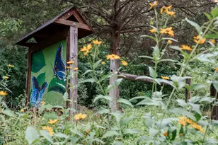 4820 Gossamer Ln, Raleigh, NC 27616 - Photo 37