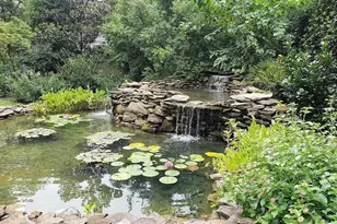 900 Nash St N, Wilson, NC 27893 - Photo 83