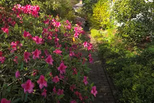 900 Nash St N, Wilson, NC 27893 - Photo 97