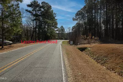 000 Lassiter Pond Road, Four Oaks, NC 27524 - Photo 9